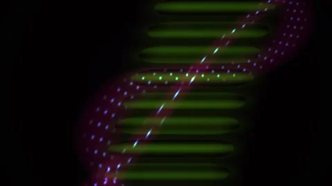 DNA double helix structure with colorful glowing dots on black background. Stock Footage 336694869