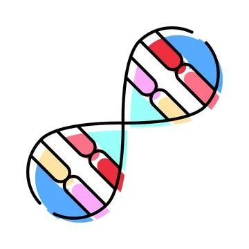 Dna double helix structure with colorful segments イラスト素材