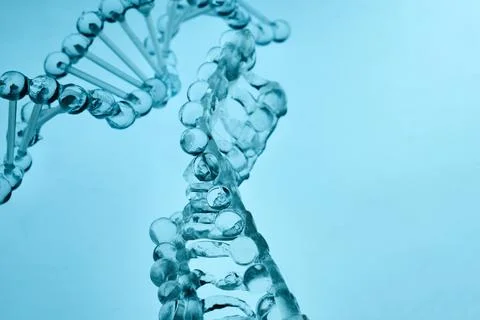 Dna double helix structure creating genetic code Stock Photos