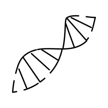 Dna double helix structure depicting genetic information Illustration