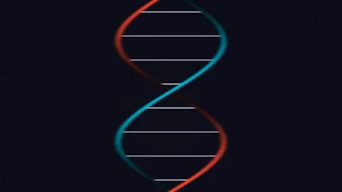 DNA double helix structure with glowing lines on black Stock Footage 338228109
