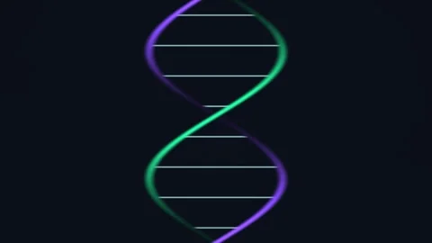 DNA double helix structure with green and purple colors Stock Footage 338286670
