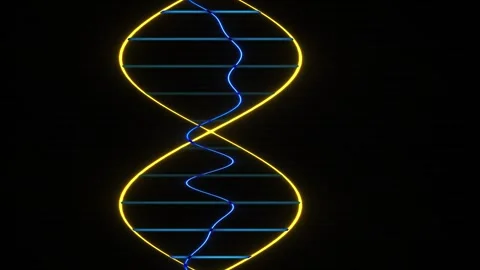 DNA Double Helix Structure Model. Stock Footage 335108357