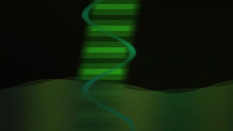 DNA double helix structure model. Stock Footage 336694823