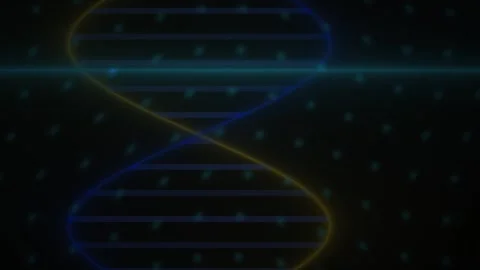 DNA Double Helix Structure Model. Stock Footage 340015398