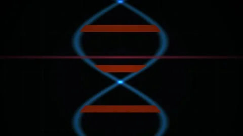 DNA Double Helix Structure Model. Stock Footage 340015410