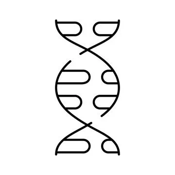 Dna double helix structure with molecules inside Illustration