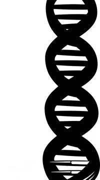 DNA Double Helix Structure Vertical Silhouette Vector イラスト素材