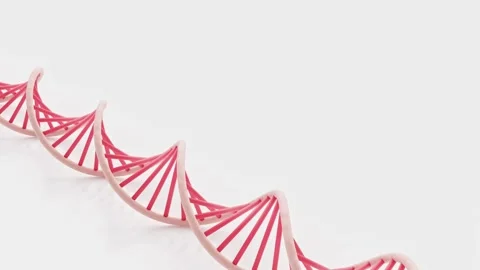 DNA double helix. On white floor background. Space on the side for text entry. Stock Footage 302879206