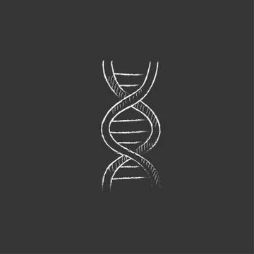 DNA. Drawn in chalk icon イラスト素材