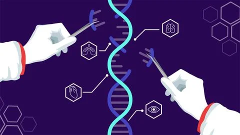DNA edit. Baby genetic sequence. Crispr gene engineering. Cas9 and mutation.. Illustrazione stock