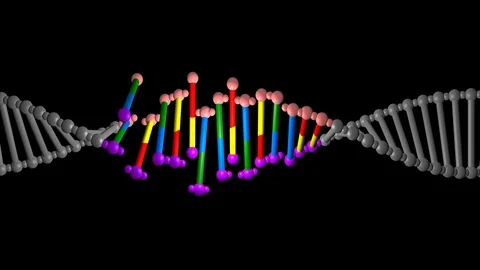 DNA edit , repair, engineering. Insertion of individual segment groups Stock Footage 107572378