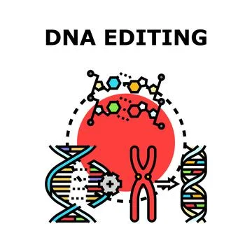 Dna editing process for genetic engineering research Stock Illustration