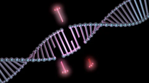 DNA editing, repair, engineering. Extraction of segements. Video stock 88569175