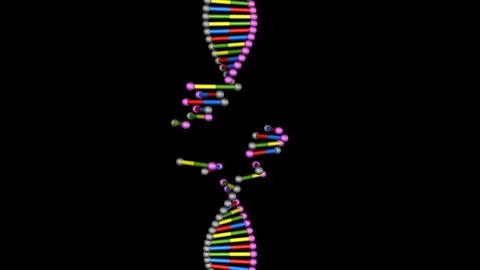 DNA editing , repair, engineering. Extraction of segments . Vertical view Stock Footage 107572367