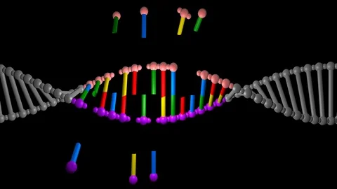 DNA editing , repair, engineering. Extraction of segments . Horizontal view Stock-Footage 107572368