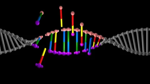 DNA editing , repair, engineering. Extraction of segments . Horizontal view Stock Footage 107572377