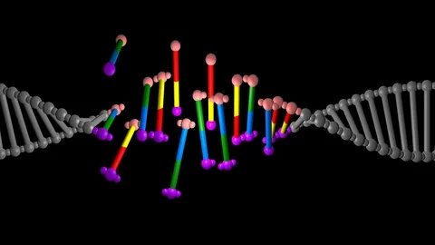 DNA editing , repair, engineering. Extraction of segment groups Stock Footage 107572380