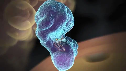 Dna Editing, Repair, Engineering. Extraction Of Segements. Stock Illustration