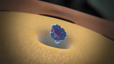 Dna Editing, Repair, Engineering. Extraction Of Segements. Stock Illustration