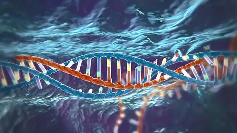 Dna Editing, Repair, Engineering. Extraction Of Segements. 스톡 일러스트
