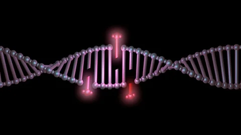 DNA editing, repair, engineering. Insertion of segements.Horizontal view Stock Footage 88569169