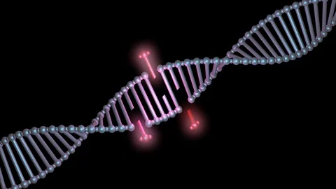 DNA editing, repair, engineering. Insertion of segements. Stock-Footage 88569185