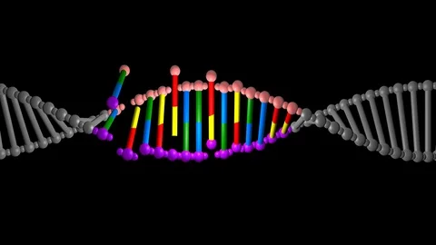 DNA editing , repair, engineering. Insertion of segments . Horizontal view Stock Footage 107572365