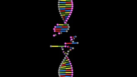 DNA editing , repair, engineering. Insertion of individual segments Stock Footage 107572369