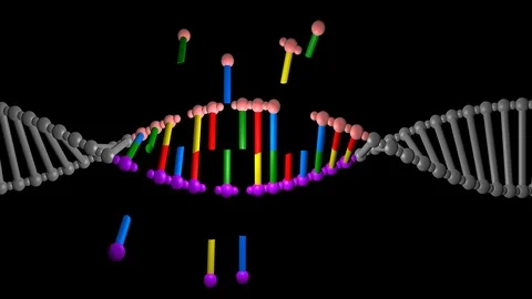 DNA editing , repair, engineering. Insertion of individual segments Stock-Footage 107572370