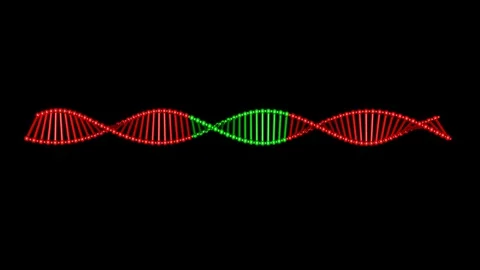 DNA editing , repair, engineering. Insertion of individual segments Stock-Footage 123249528