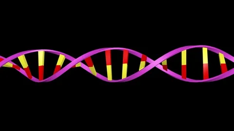 DNA editing. Strand closing and twisting. Horizontal view Stock-Footage 88569192