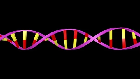 DNA editing. Strand twisting and opening. Horizontal view Video stock 88569183