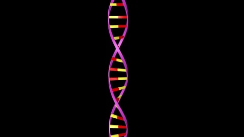 DNA editing. Strand twisting and opening. Veritical view Stock-Footage 88569198