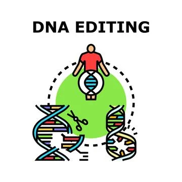 Dna editing technology for genetic engineering research science Stock Illustration