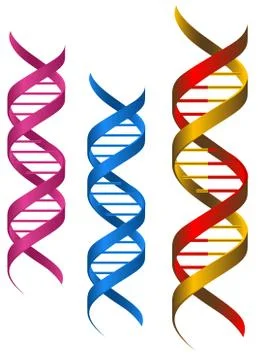 Dna elements Illustrazione stock