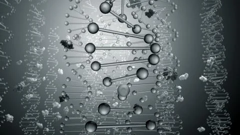 DNA Encodes for Proteins Stock Illustration