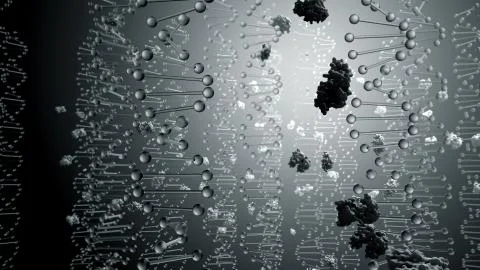 DNA Encodes for Proteins Illustrazione stock
