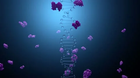 DNA Encoding for Proteins Stock Footage 105691869