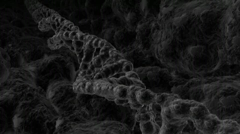 DNA flight trough Stock Footage 116958