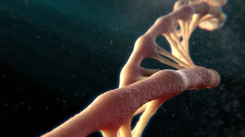 DNA with floating particles Видео 59688849