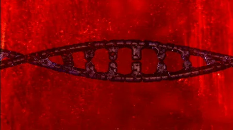DNA (fluidic version) Video stock 73433