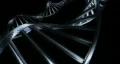 DNA HD Footage