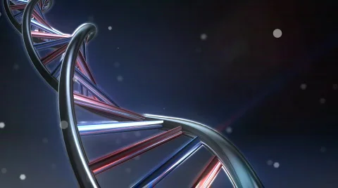DNA Stock-Footage 371045