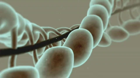 DNA Stock Footage 492328