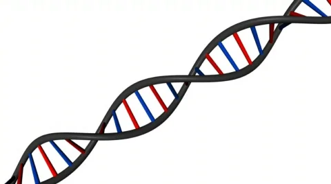 DNA Video stock 544553