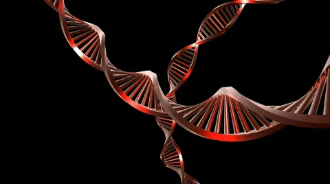 DNA Stock Footage 735083