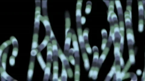 DNA Stock Footage 831533