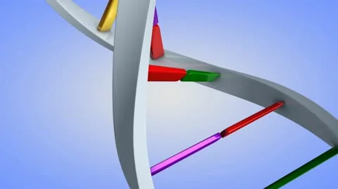 DNA Stock Footage 10594912