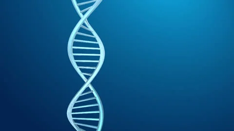 DNA 動画素材 22752517